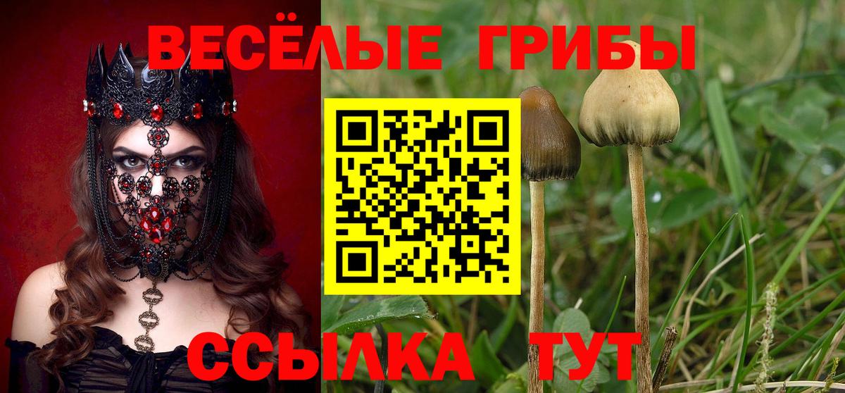 Галлюциногенные грибы мухоморы Полысаево