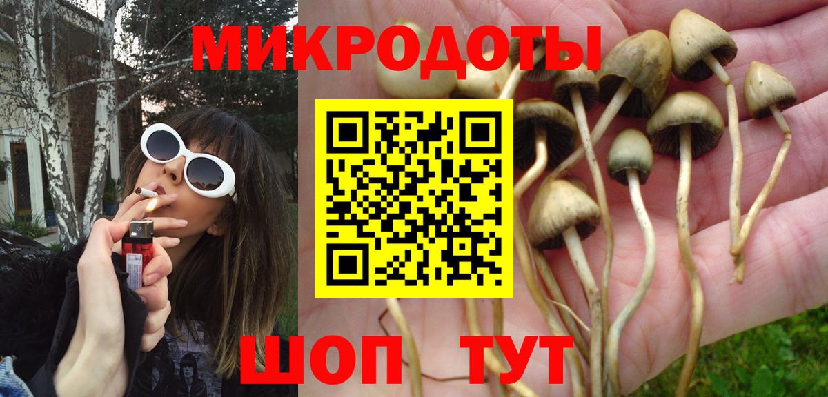 Полысаево  Псилоцибиновые грибы MAGIC MUSHROOMS  Вход с VPN  Галлюциногенные грибы Psilocybine cubensis 
